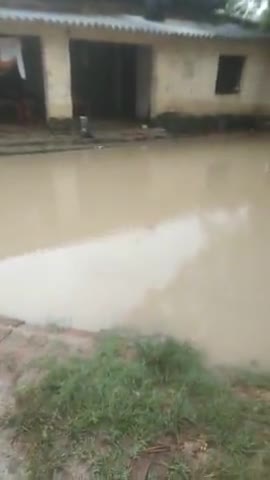 पट्टी: parvatpur suleman me 2 din laga tar barish ki vajah se gharo me pani
@#anjani ke ghar me