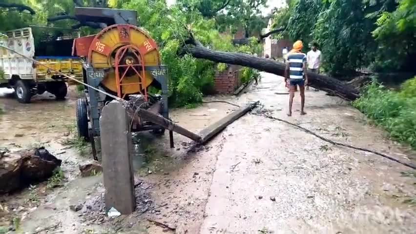छिबरामऊ: chhibramau kannauj मे खोजीपुर मै हबा तेज़ चलने से दो बिजली के पोल गिर गये और बिजली #videovirol #virolnew #short #virol