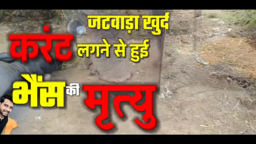 सवाई माधोपुर : जटवाड़ा खुर्द में बिजली का करंट लगने से हुई भैंस की मृत्यु

#iamashu #death #viral #sawaimadhopur