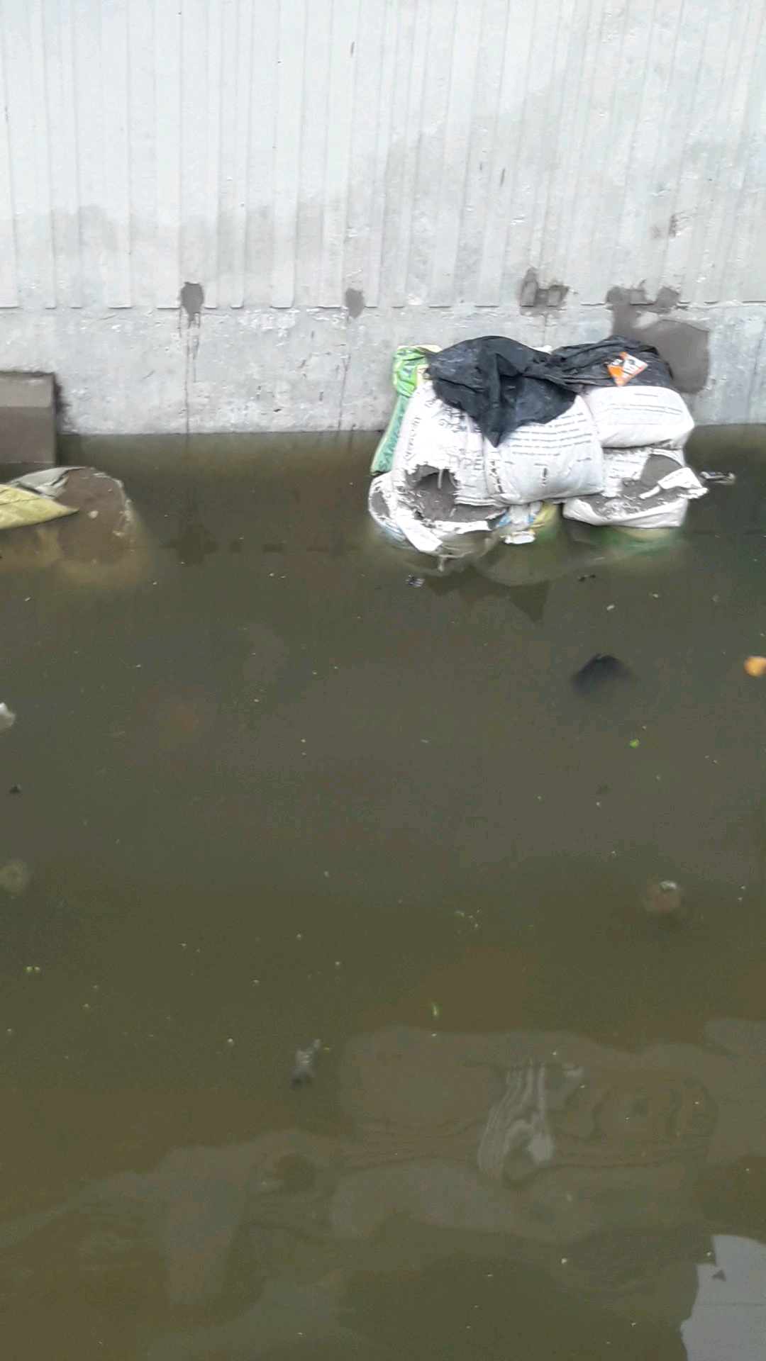 नवाबगंज: barabanki me ka dussehra bagh ho gaya #pani pani