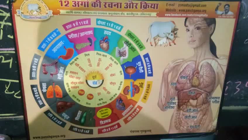 #दिनचर्या येसी रहेगी तो कभी #रोग नही होगा  उठना 4-5 तथा #योग 8 पर #छाच नास्ता 11 तक #भोजन दपोहर 2 तक भोजन कुछ हल्लका खाकर #रात्री मे #दुध