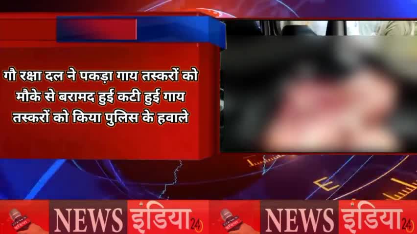 गौ रक्षा दल ने पकड़ा गाय तस्करों को
मौके से बरामद हुई कटी गाय

#ब्रेकिंगन्यूज़
#breakingnews
#breakingnews