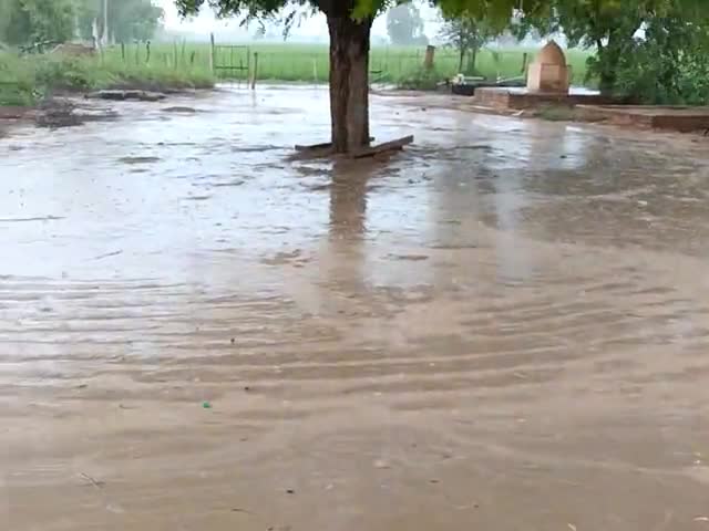 रंगमहल बारिश#रंगमहल#सूरतगढ़