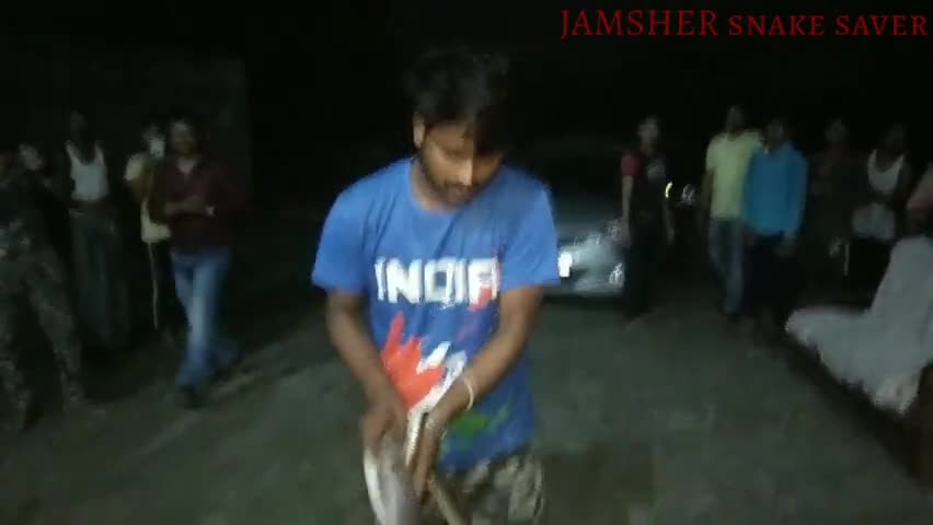 गोपालगंज: Gopalgan - rescue operation of Indian ratsnake in chainptti gopalganj #snakerescuer #DRJAMSHER - (OPHIOLOGIST)