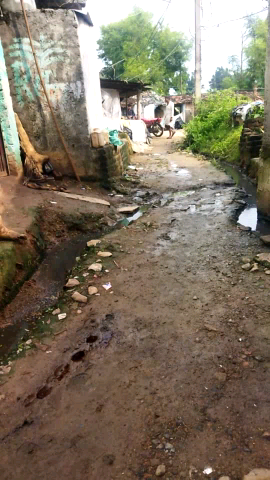 जीरापुर: ग्राम लिंबोदा मानपु@#रा main bahut गंदगी हो रही ह