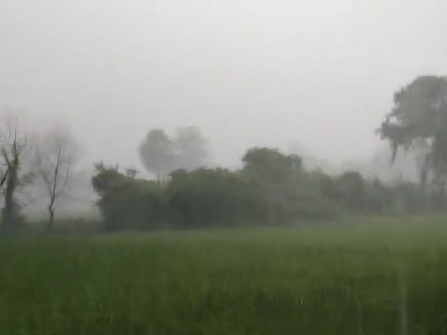 अचानक काफी तेज बारिश जलालपुर प्रखंड, किशुनपुर #publictaknews #Public Tak News