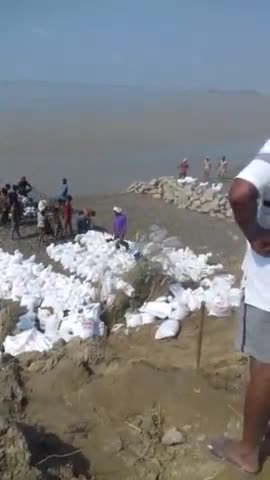 धनघटा: तुर्कवलिया/अशरफपुर के पास MBDबांध की कटान करती #घाघरा नदी.., शासन-प्रशासन की लापरवाही से बंधा कटने के कगार पर....