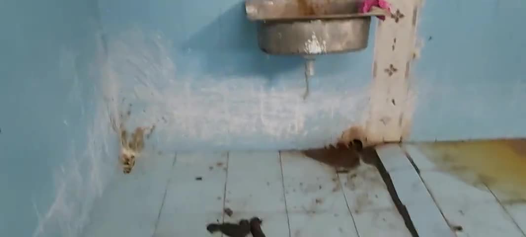 मौदहा: सामुदायिक स्वास्थ्य केंद्र मौदहा के सौचालय का हाल हमेशा ऐसे ही रहता है !
घुसना मुस्किल हो जाता है!
#स्वच्छ_भारत_अभियान