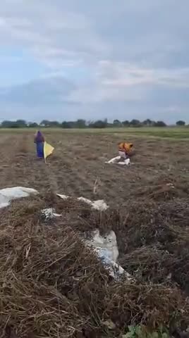 #farming #agriculture #soyabean
#जिला रायसेन में चल रही जोरदार थ्रेशिंग।