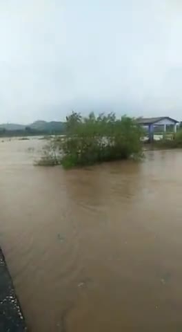दो दिनों से हो रहे लगातार बारिश के कारण माल्डा (गांवां) नदी उफान पर

#बारिश #rainnews #माल्डा #Gawan #jharkhand #floods