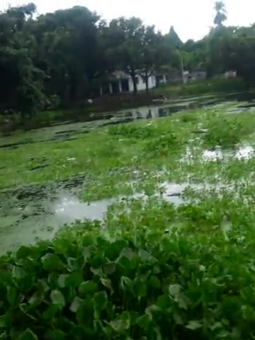 बिस्फी: #madhubani #news #hiropatti #village #villagenews