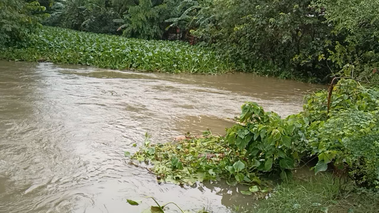 सकरा: सकरा प्रखण्ड के हरलोचनपुर पंचायत मे जमुआरी नदी के जलस्तर में वृद्धि, लोगों की बढ़ी परेशानी #sakra #dubha