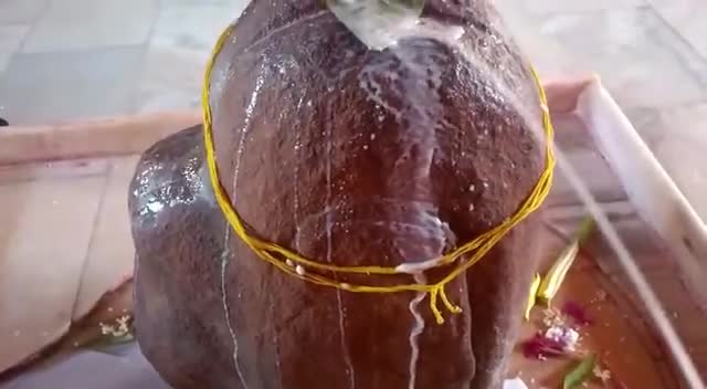 विघ्नहर्ता का आवाहन कर #गणेश_अथर्वशीर्ष से शिवाभिषेक करते हुए पितृ पूर्वजों के शान्ति मुक्ति की प्रार्थना के साथ विदाई🙏