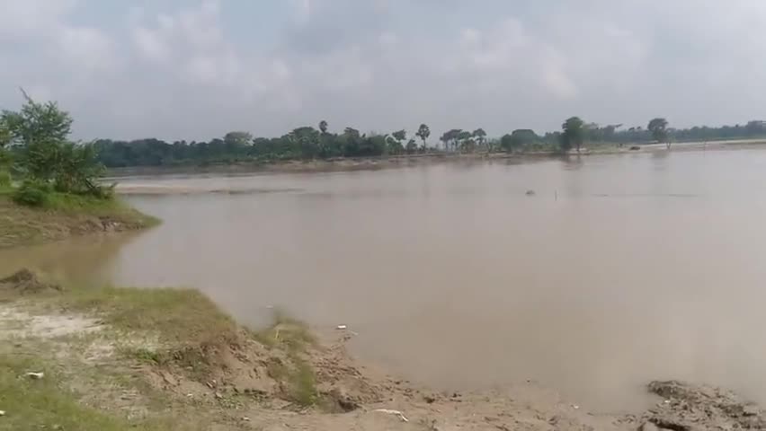 मुशहरी: #muzzafarpur हर शेर गांव बूढ़ी गंडक तबाही मचा रहा है बाढ़ के प्रभाव हरगांव पर फिर से पड़ने वाला है थाना मीनापुर