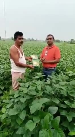 101%फायदेमंद खेती#उन्नत खेती#जैविक खेती अधिक जानकारी के लिए संपर्क करें।8962753814,7566605511