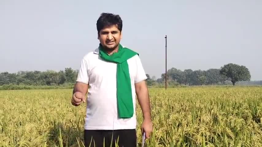 आज #जौनपुर के शाहगंज के जौकाबाद #गांव में खेतों के बीच #खेती किसानी के #आत्मनिर्भर मौडल पर #चर्चा की
#जय_किसान #जय_किसान