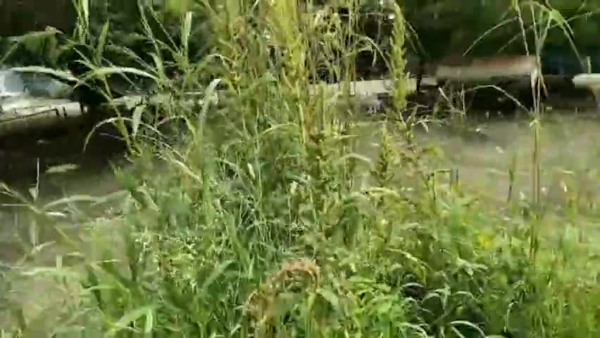 देवास नगर - 'स्वच्छ भारत अभियान' के तहत ग्राम में शासकीय भवन की छत की साफ-सफाई की गई।
#स्वच्छ_भारत_अभियान
Ministry of Youth Affairs and Sports, Government