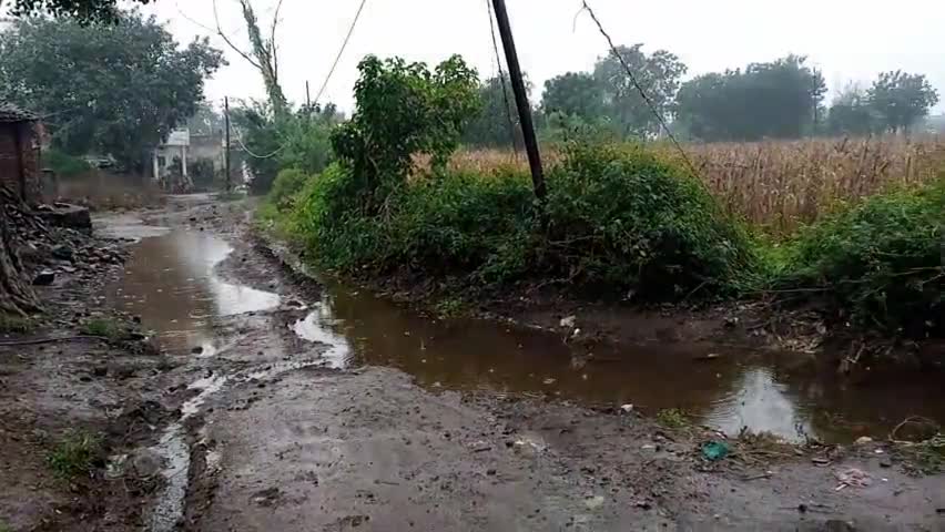 भगवानपुरा: धूलकोट में #फिर से हुआ पानी का माहौल##@