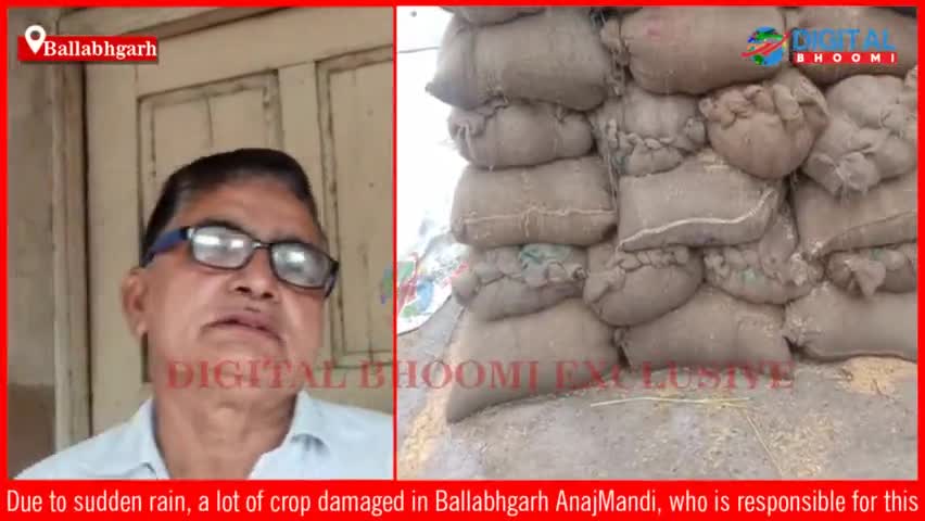 अचानक हुई बारिश से बल्लभगढ़ अनाज मंडी में काफी मात्रा में फसल खराब, इसका जिम्मेदार कौन?
#BallabhgarhNews #HaryanaNews #Br