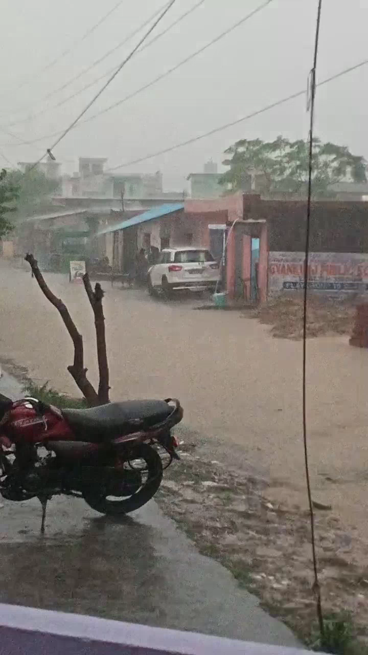 बरेली: kandharpur ka haal #kav tak #विचारधारा #डेंगू
