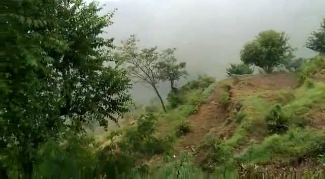 #bhanoli #kasermanya#almora #uttarakhnd  #barish