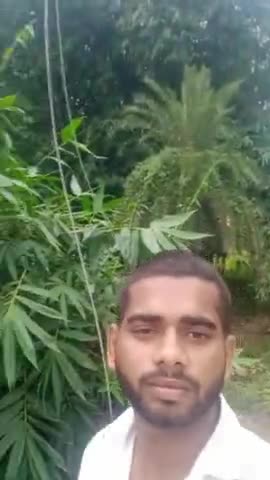 मधुबन: #Madhuban #nbpdcl#Madhuban  क्षेत्र के खैरवा गारहिया गाओ में 440 वोल्ट के तार गिरने से ग्रामीण में दहस्t का माहौल