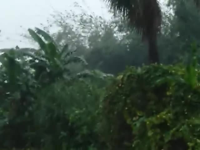 भोरे: aaj ki khabr
bankatamal me fasle barbad ho chuki hai hawa ke saath saath pani ka bhi is Tarah hai#tufan aandi