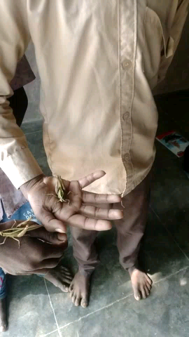 सायला: अलर्ट - सायला क्षेत्र के भुंडवा गांव में देखी ही टिड्डियां ।फसलों पर टिड्डी दल के हमले का खतरा, #jalorenews