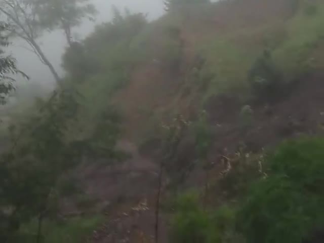 #kasermanya  #bhanoli  #almora #uttarakhand_ki_aawaj