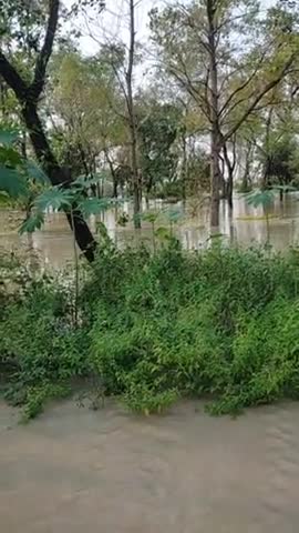लखीमपुर: ﻿#भीरा :भीरा पलिया मार्ग स्मृति महाविद्यालय के सामने रेलवे लाइन टूटी जिससे जिससे ग्राम पंचायत मटेहिया वा बुझवा हुआ जलमगन
