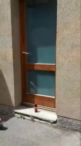 watch till the end 😛😄
#funnynews