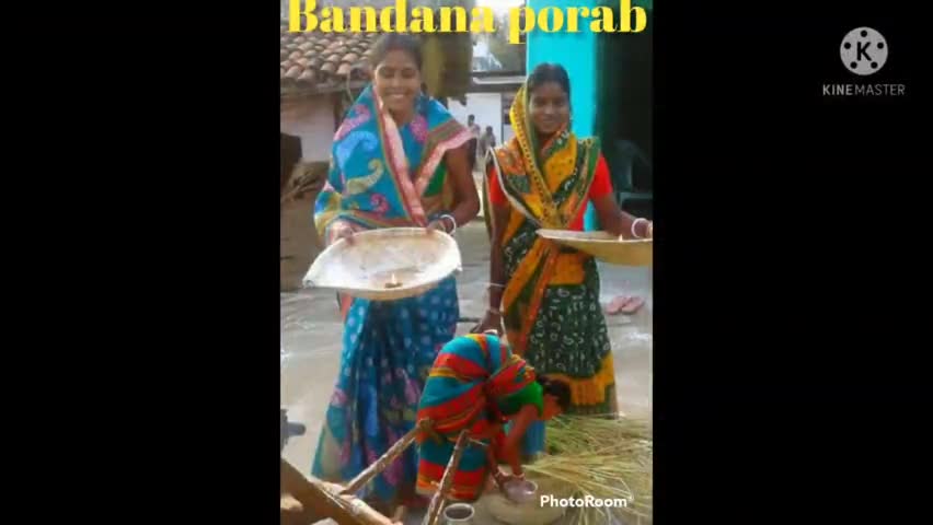 #बांदना पर्व का आगमन 
#बैल_चुमान_गीत
#सोहराय 
कृषिगत जीवन का आधार पशु
पशुओ का सम्मान का पर्व बांदना,सोहराय #जोहार