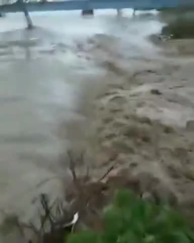 पीलीभीत: पीलीभीत के कई गॉव मे बाड का कहर 😓😓#pilibhitnews #bareilly_news #flood
