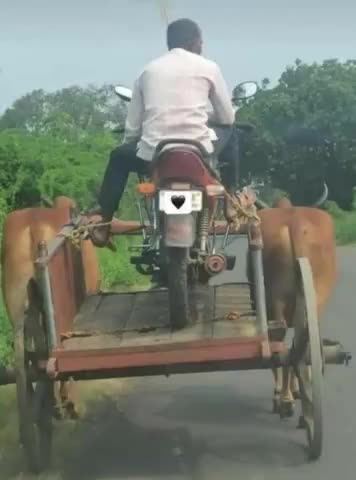 यह काम सिर्फ ग्लोबल नेता साहब जी कर सकते है
#न्यू_इंडिया #न्यू_जुगाड़ #बेकार_भाजप_ सरकार