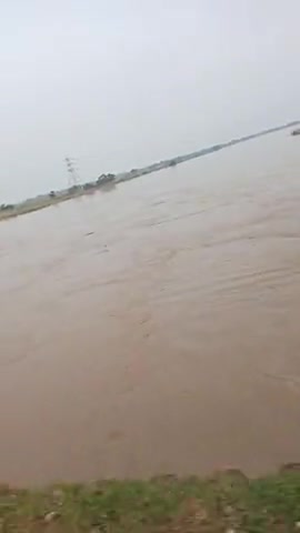 चौथम चौथम प्रखंड में #कोसी एवं बागमती नदी में लगातार बारिश के कारण हो रही बिर्धी