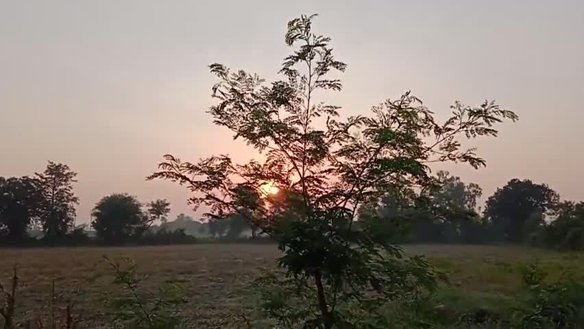 #आज का मंत्र #सूर्य उदय से पहले उठे #योग #व्यायाम #ध्यान करें स्वयं स्वस्थ रहें  #भारत  को स्वस्थ रखें