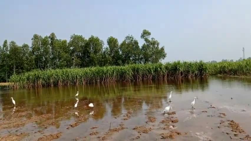 फरीदपुर: #Google nagariya || faridpur bareilly ||