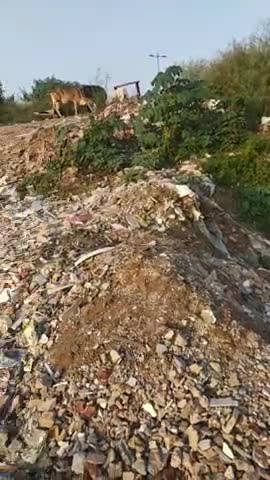 प्रीत विहार: Yamuna river bed cover by concrete malba #saveyamuna #yamunaindia #eastdelhinews #eastdelhinews #abhayvermabjp