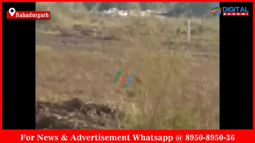 बहादुरगढ़: गांव रोहद स्थित फैक्ट्री में लगी भीषण आग तारकोल बनाने की बताई जा रही है फैक्ट्री
#BahadurgarhNews #HaryanaNew