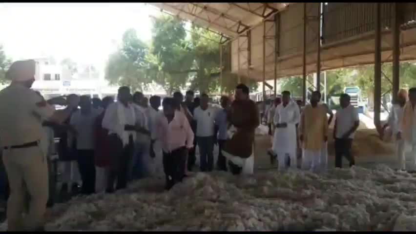 डबवाली: डबवाली उपमंडल में 33 हजार 770 मीट्रिक टन धान की  हुई खरीद - राजेश पूनिया एसडीएम #dabwalinewe #news