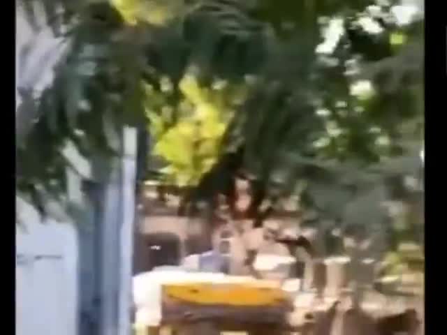 छपरा सारण के महिला थाना में बाल मजदूरी करते हुए देखा गया जिसका वीडियो तेजी से वायरल हो रहा है #बाल मजदूरी #childlabour