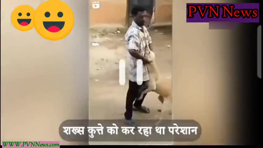 #वायरल_वीडियोः शख्स ने किया कुत्ते को परेशान,गाय ने ऑन स्पॉट लिया#pvn_news #लेटेस्ट_न्यूज़ #कुत्ता