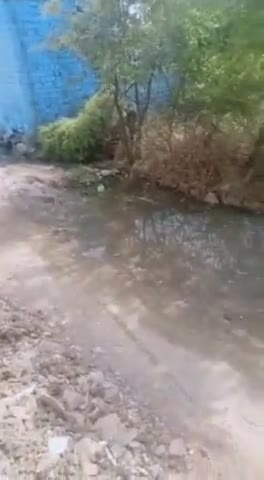 नटेरन: नटेरन की बराबटपूरा मोहल्ले में नाली नहीं होने से बेहतर रहता है गंदा पानी कई बार सरपंच से शिकायत कर दी लेकिन नहीं #हुई