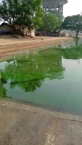रॉबर्ट्सगंज: ## clear water ##
@#save woman#@
: virus and jurms:
thanks for your support ❤️