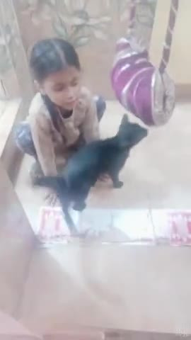 yah hai ek rescue cat  jiska Naam hai MIchain #catlovers #kids