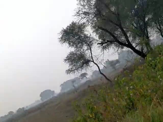 हुज़ूर: #rahulsinghaima26 #public.jaitaran #modi_rojgar_do #road #village #