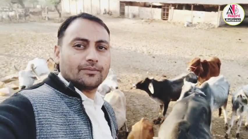 गोपाष्टमी पर खण्डवा की गोविन्द गोपाल गौशाला में भामाशाह कर रहे हैं गो सेवा #Churu 
#Rajasthan #Shankarjangir