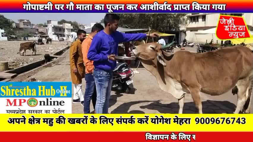 #महु मै आज #गोपाष्टमी पर गौ #माता का #पूजन कर #आशीर्वाद प्राप्त किया गया llयोगेश मेहराll