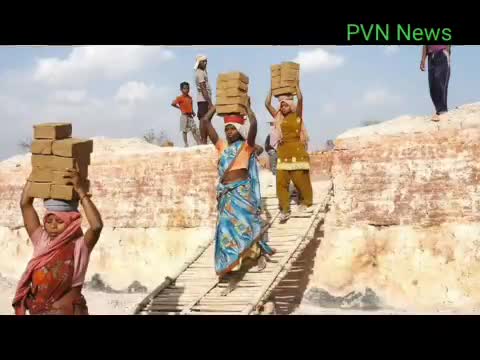 मनरेगा कर्मियों का राज्य सरकार का तोहफा#pvn_news #झारखंडसरकार#तोहफा#कानून