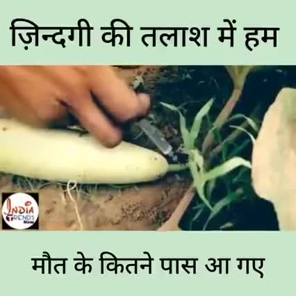 जैविक खेती अपनानी ही पड़ेगी।
अधिक जानकारी के लिए संपर्क करें। जैविक खेती#उन्नत खेती@ 8962753814,7566605511